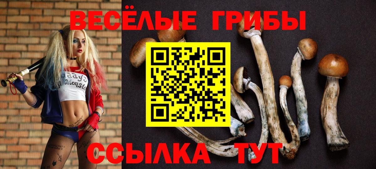 Псилоцибиновые грибы MAGIC MUSHROOMS Партизанск